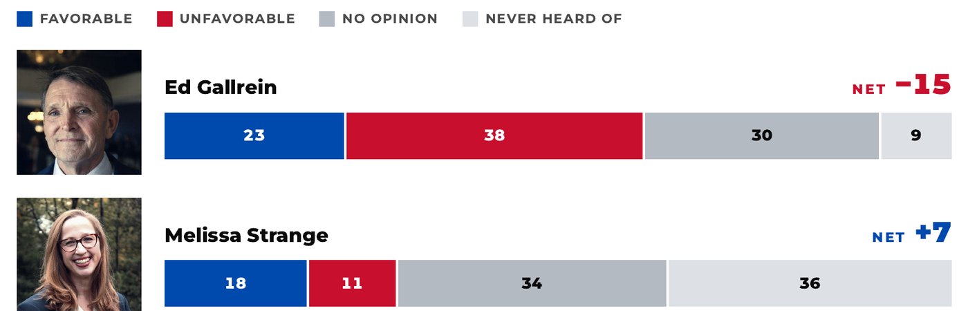 Favorability chart. Ed Gallrein: 23 favorable, 38 unfavorable, 30 no opinion, 9 never heard of, net minus 15. Melissa Strange: 18 favorable, 11 unfavorable, 34 no opinion, 36 never heard of, net plus 7.
